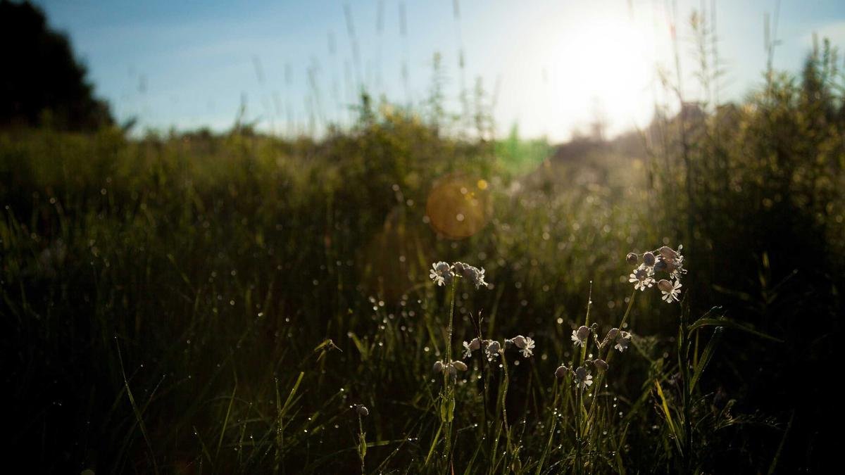 Golden Hour Landscape Photography: Sunrise Settings & Planning