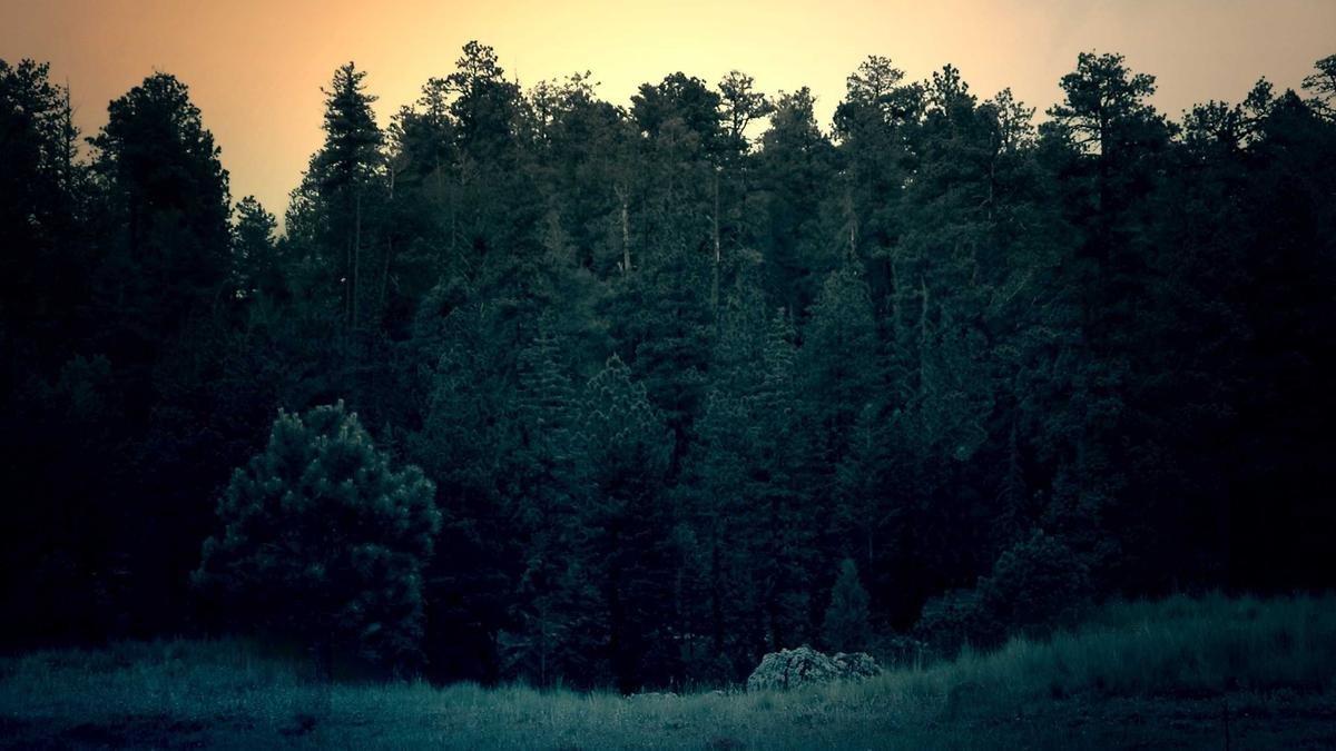 Best Free Photo Editors: GIMP, Darktable and Alternatives to Paid Software