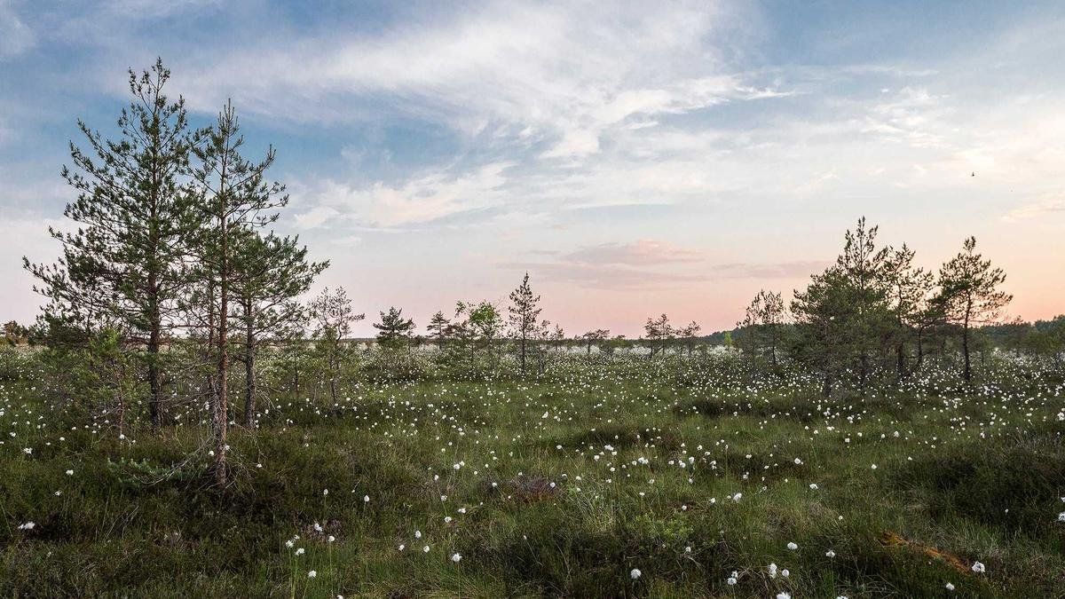TikTok Photography Trends: Behind-the-Scenes and Viral Editing for 2026
